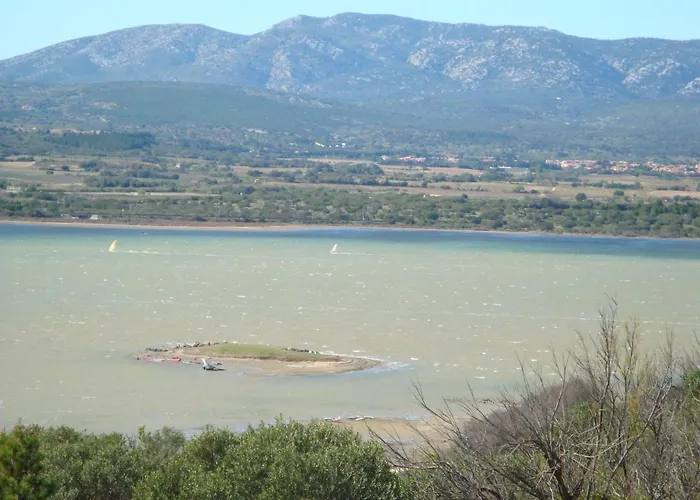 Leucate,cadre Arbore,ombrage,sous Les Cypres Leucate