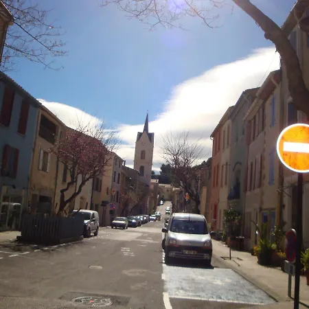 Leucate,cadre Arbore,ombrage,sous Les Cypres *