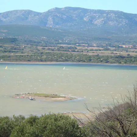 Leucate,cadre Arbore,ombrage,sous Les Cypres Leucate